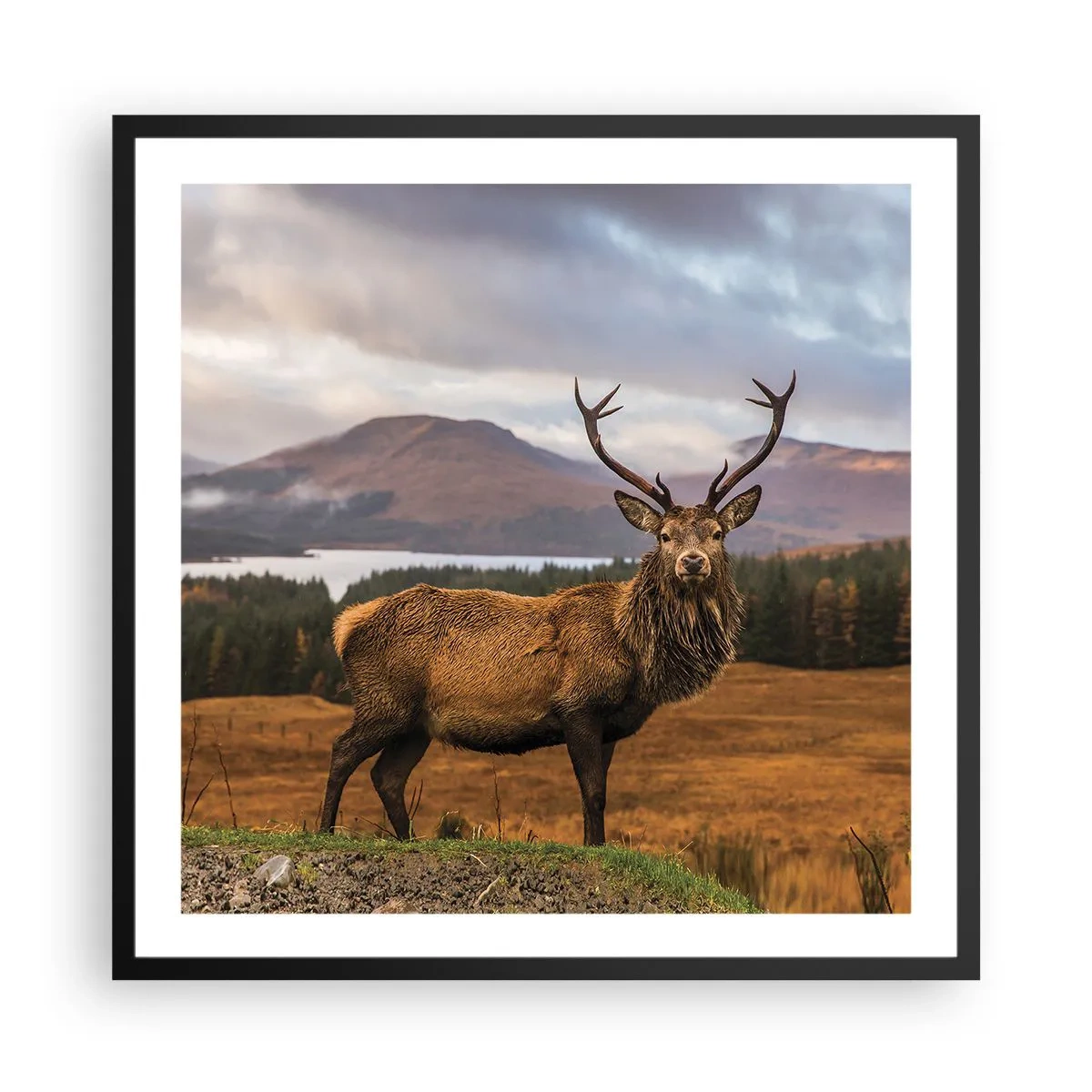 Poster în ramă neagră - Măreția naturii - 60x60 cm