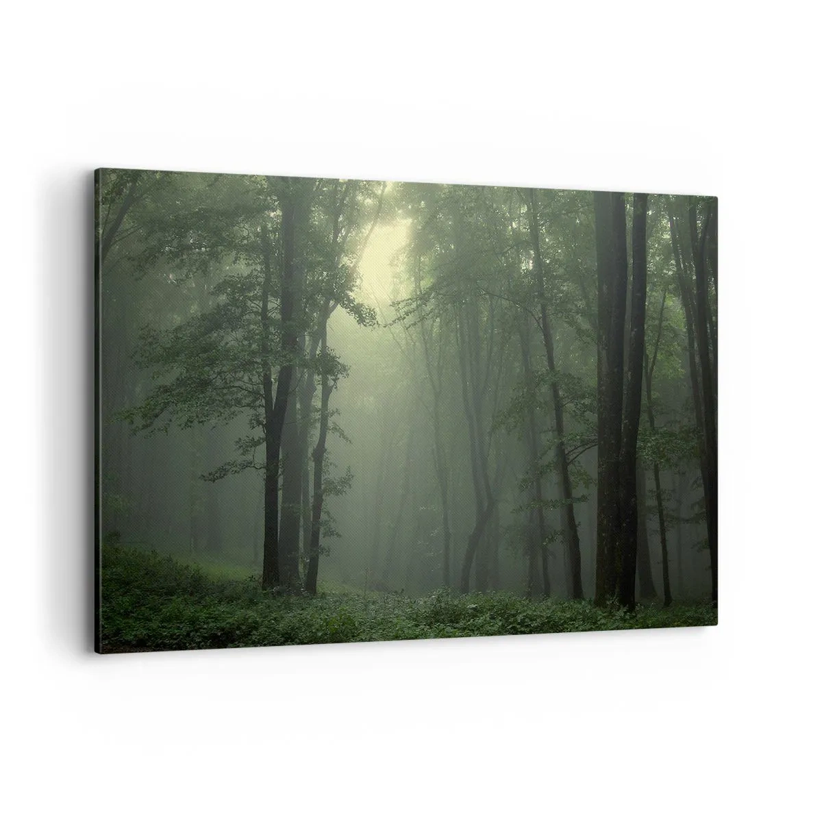 Tablou pe pânză - Înainte să se trezească - 120x80 cm