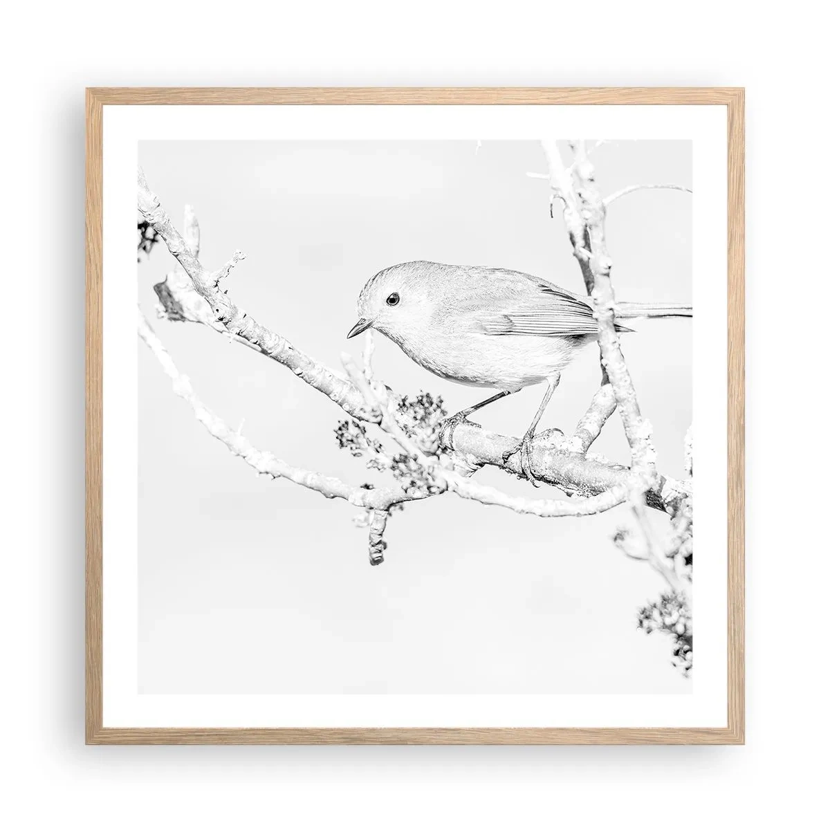 Poster în ramă de stejar deschis - Dimineață de iarnă - 60x60 cm