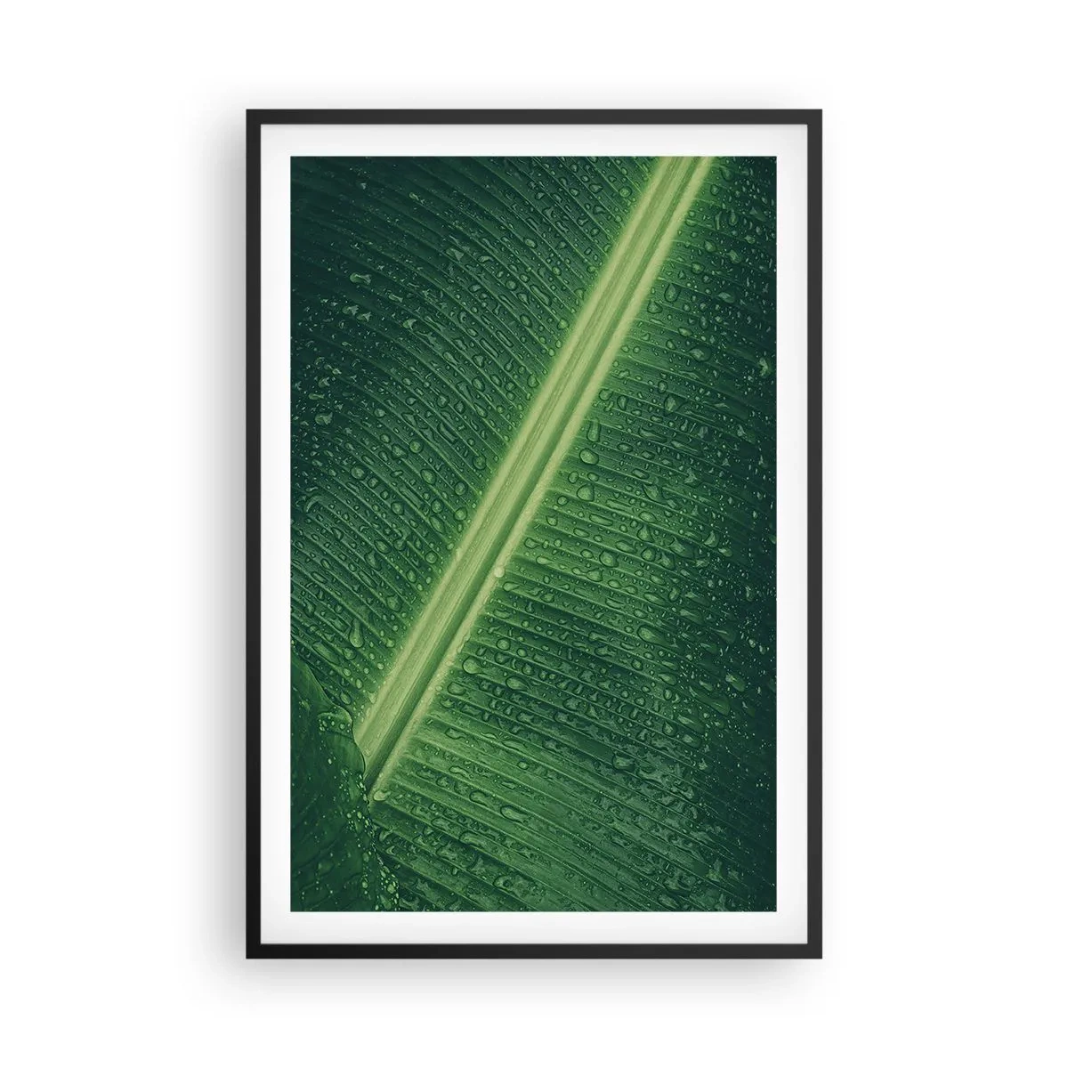 Poster în ramă neagră - Structura verdelui - 61x91 cm