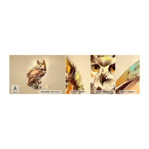 Mostră tapet autocolant Deluxe Sticker - Cea mai inteligentă bufniță - confirmă stejarul - Bufniţă, Pasăre, Abstracția - 100x30 cm