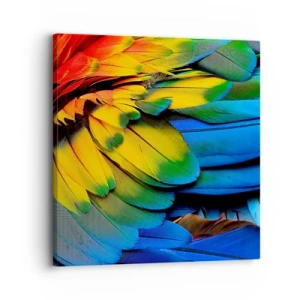 Tablou pe pânză - Pasăre de paradis - 30x30 cm