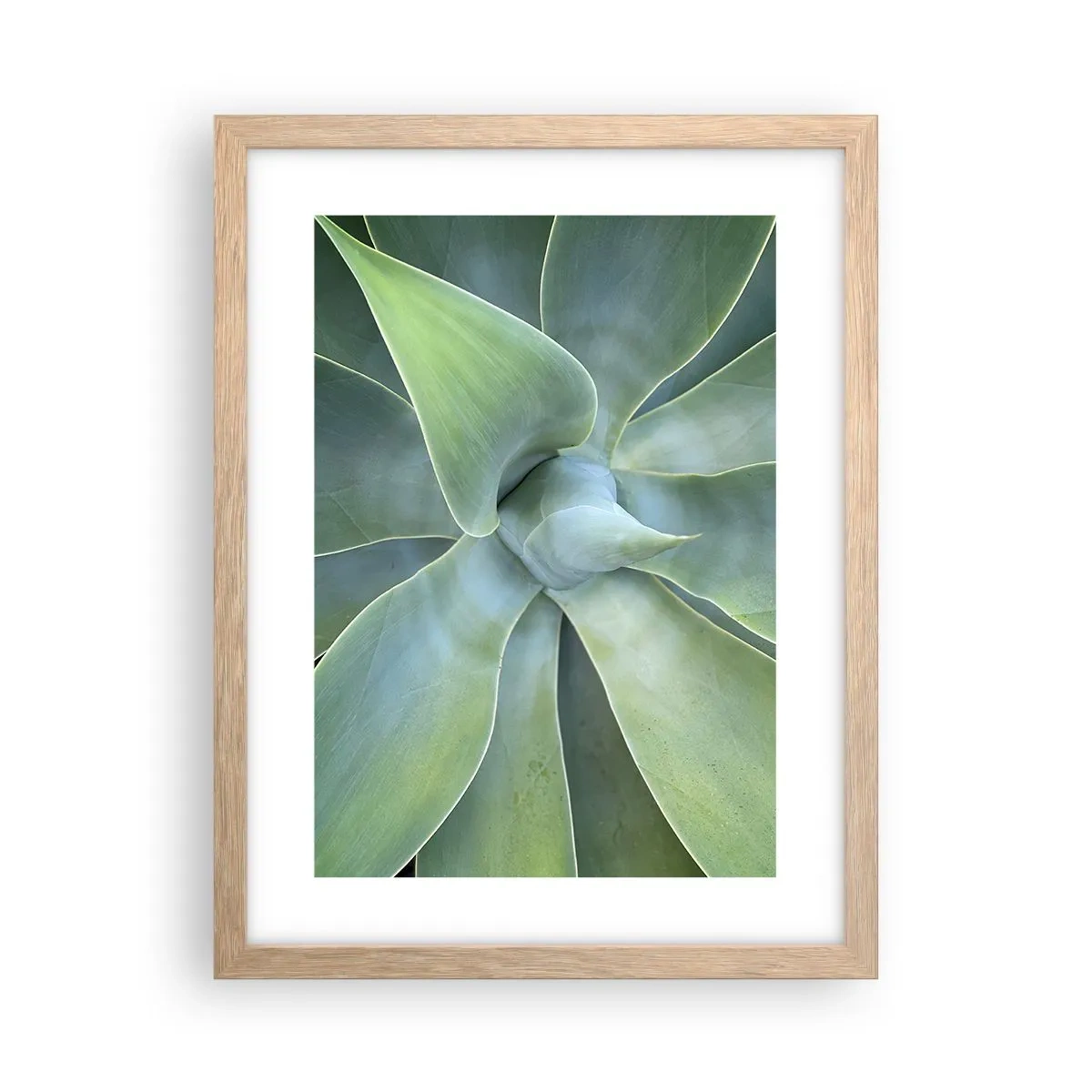 Poster în ramă de stejar deschis - Nașterea verdeții - 30x40 cm