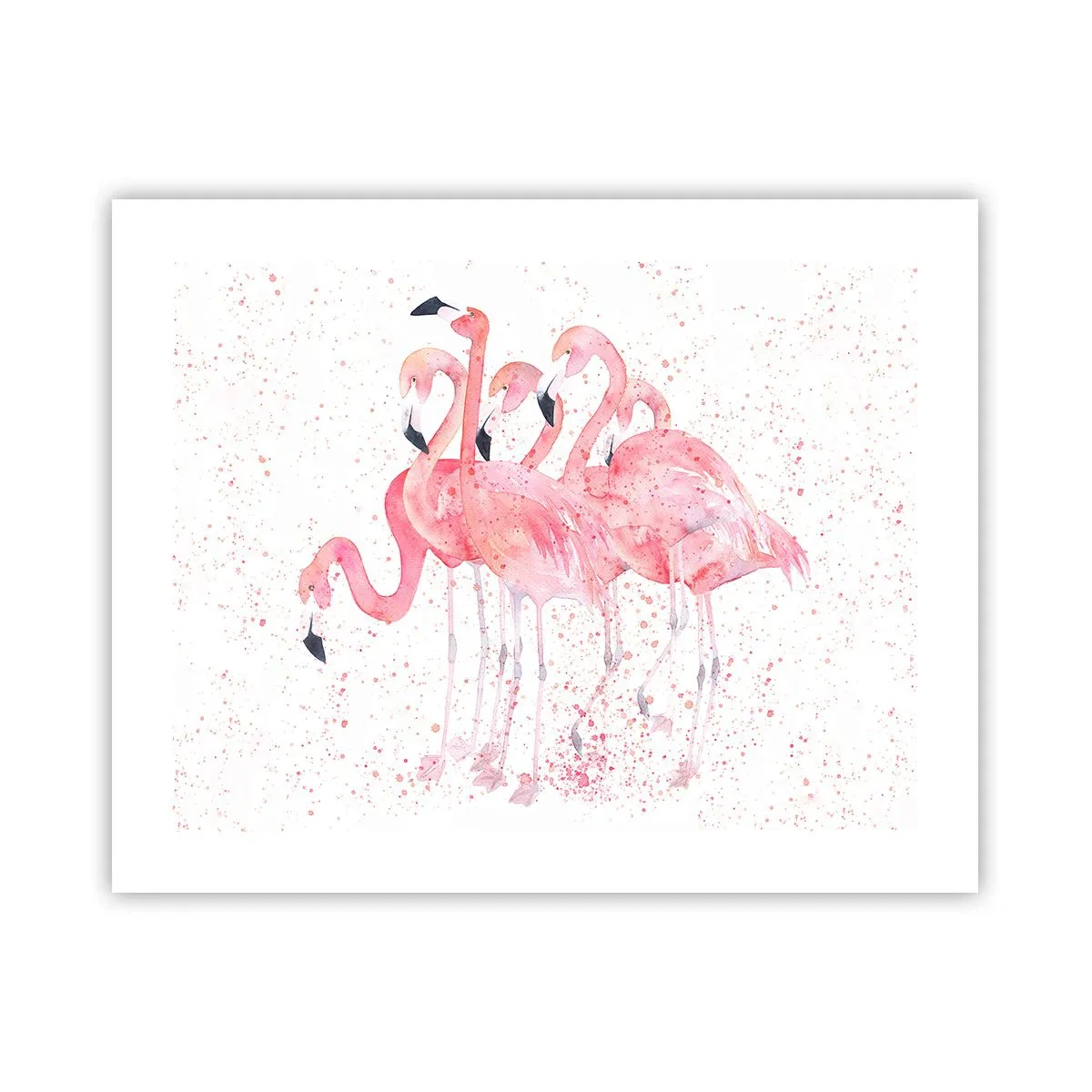 Poster - Ansamblul roz - 50x40 cm