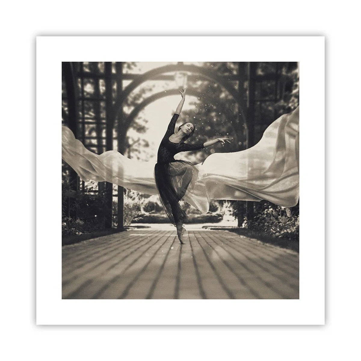 Poster - Dansul spiritului de grădină - 40x40 cm