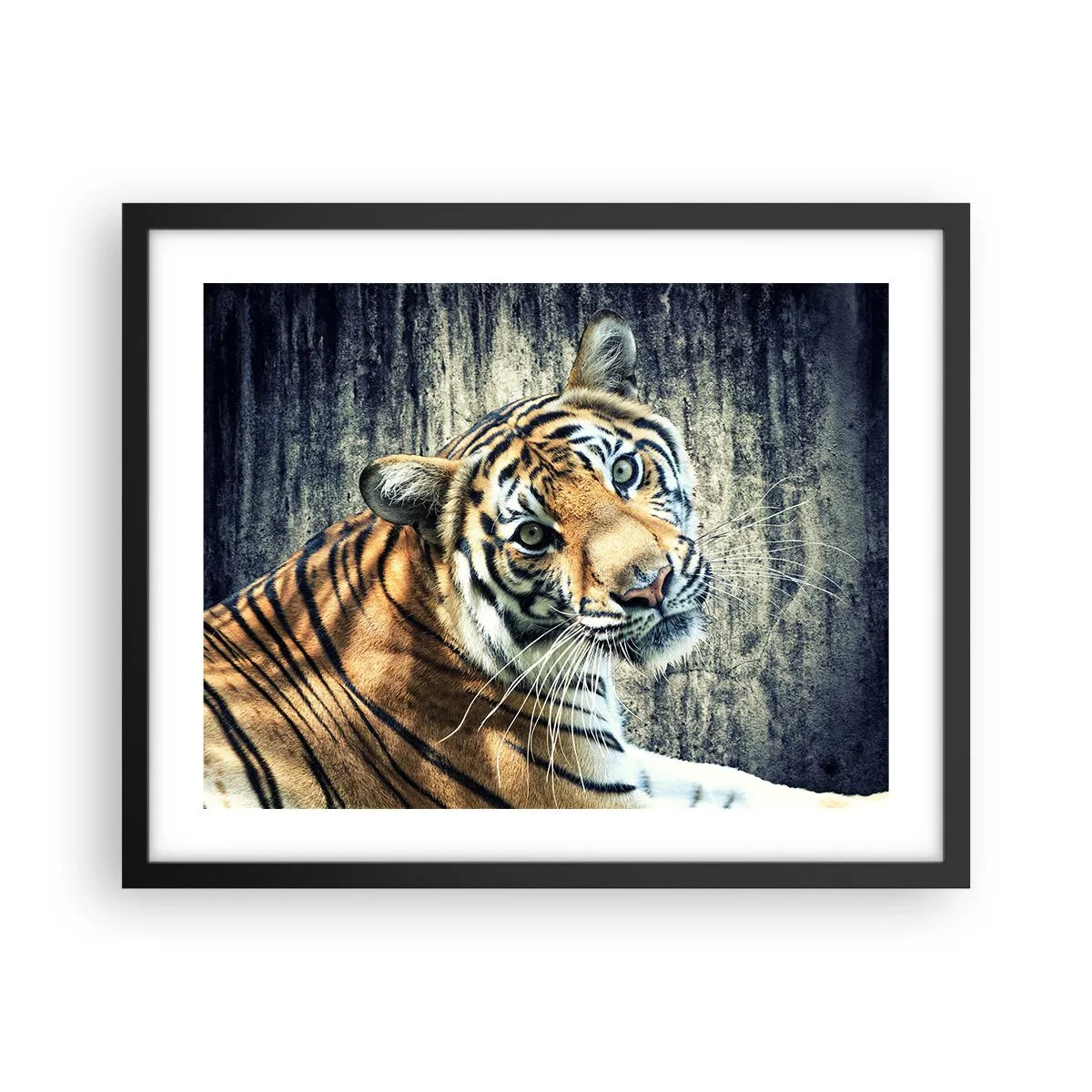 Poster în ramă neagră - Portret în fluxuri de lumină - 50x40 cm