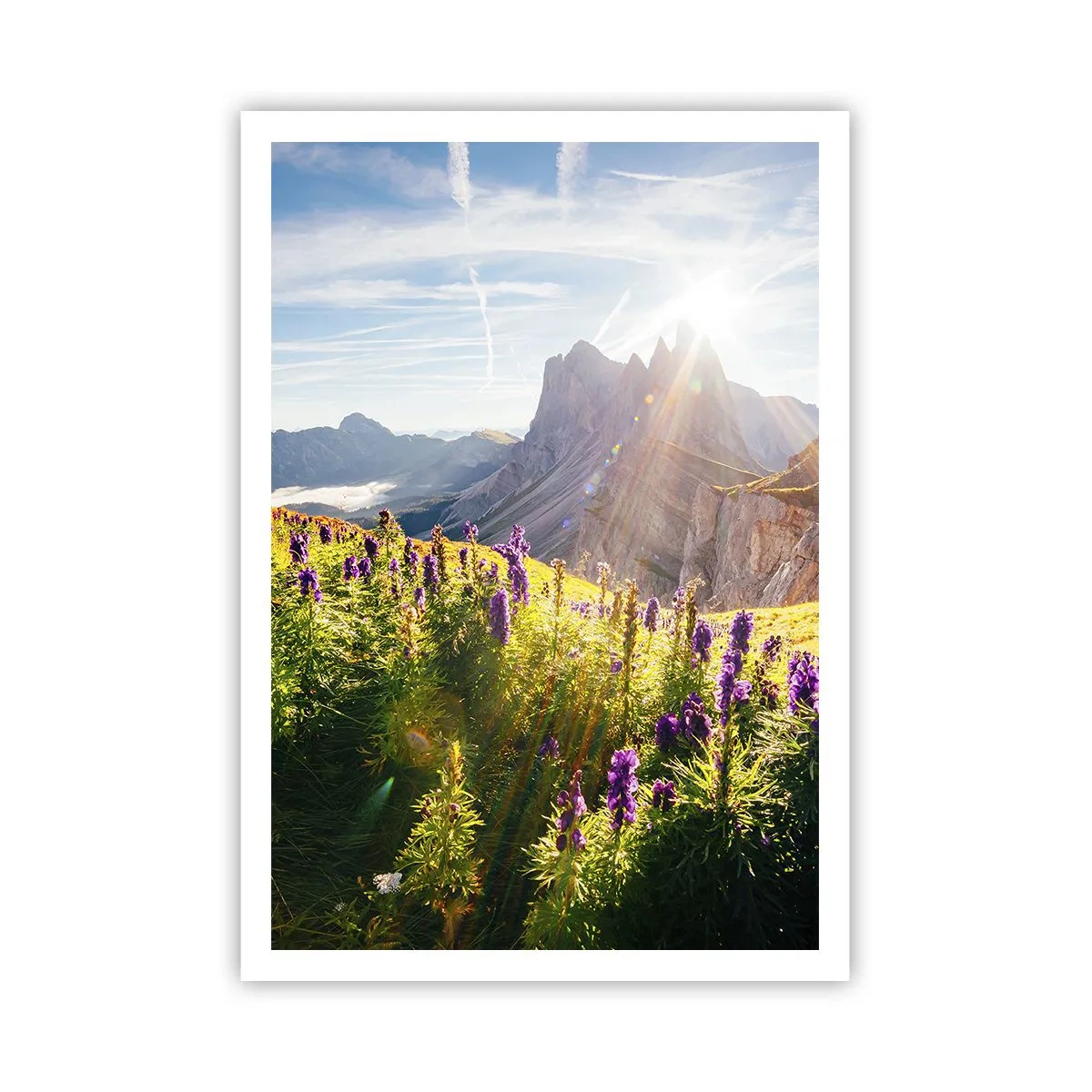 Poster - Viața secretă a ierburilor - 70x100 cm