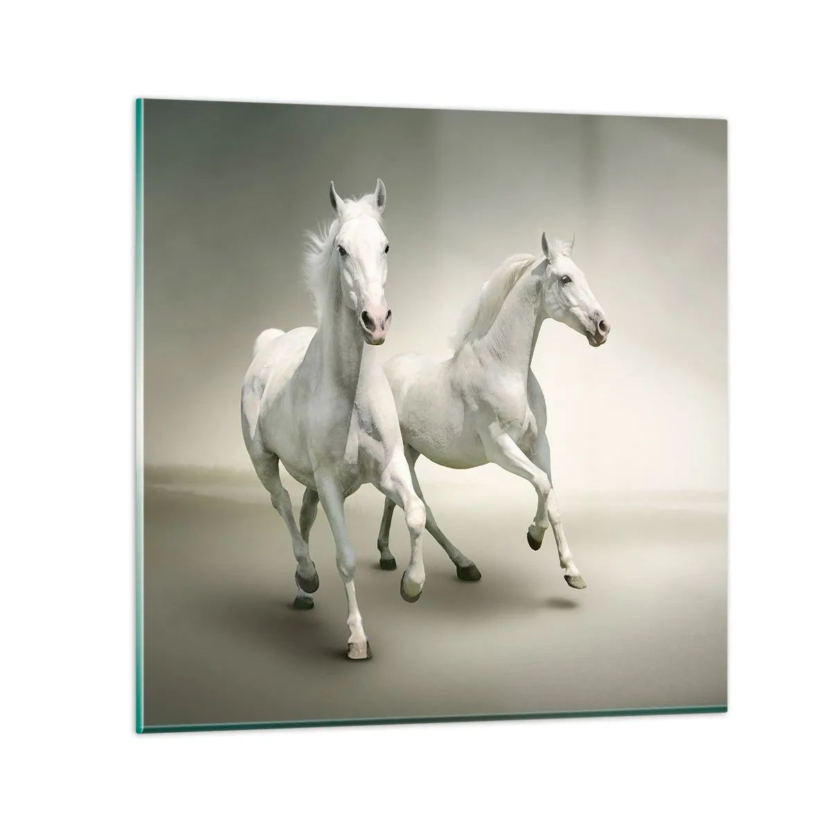 Tablou pe sticlă - White power! - 60x60 cm