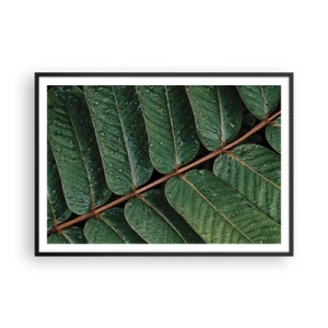 Poster în ramă neagră - Într-un ritm verde - 100x70 cm