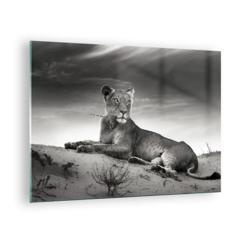 Tablou pe sticlă - Lăsat întins în deșert într-o ramă alb-negru - 70x50cm - Odihna reginei deșertului - Decorațiune modernă pentru perete pentru living și dormitor ARTTOR
