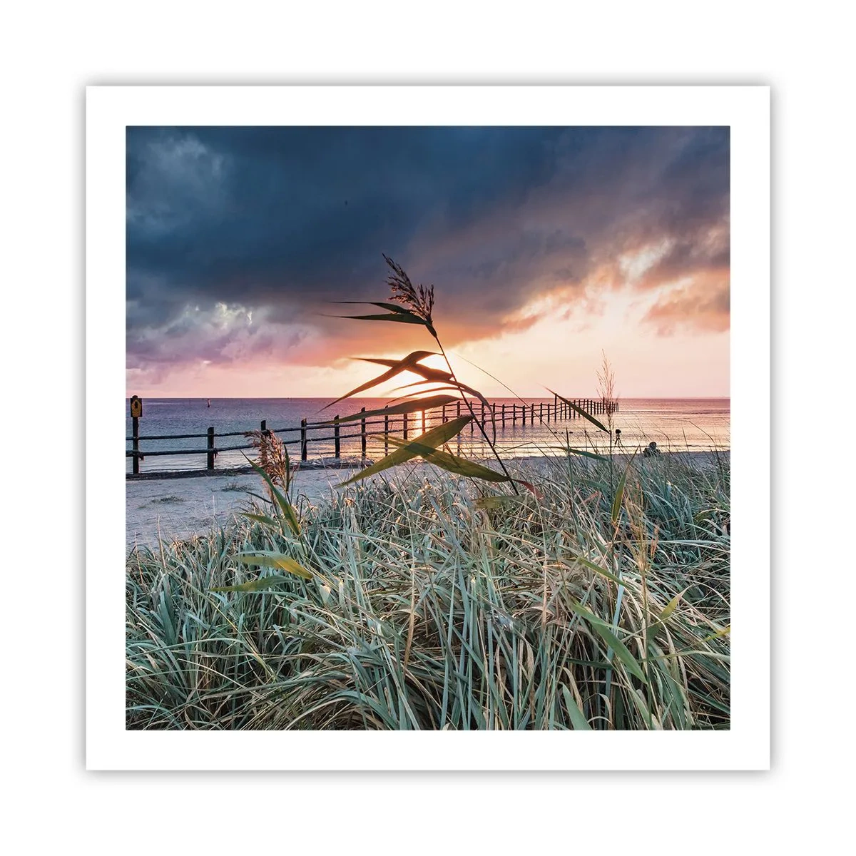 Poster - Nu trece cu vântul - 60x60 cm