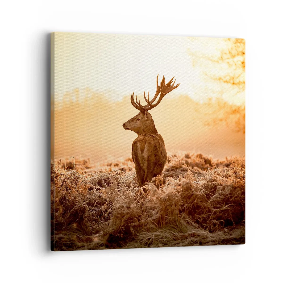 Tablou pe pânză - Stăpânul conacului - 40x40 cm