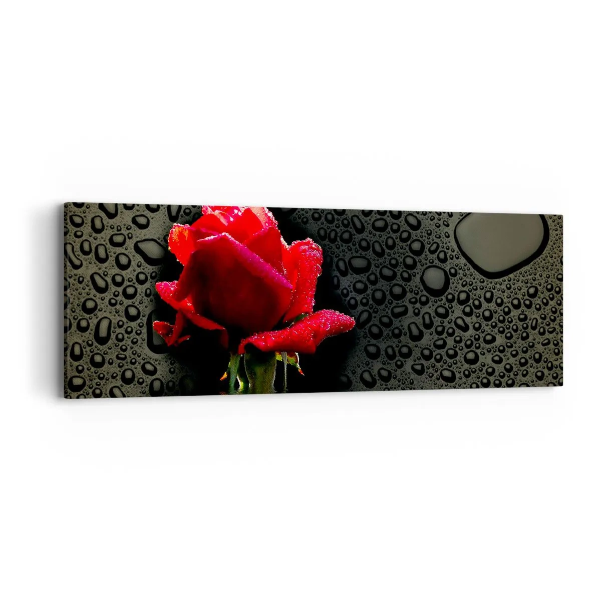 Tablou pe pânză - Roșu și negru - 90x30 cm