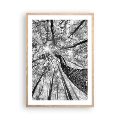 Poster în ramă de stejar deschis - Cursa spre lumină - 50x70 cm