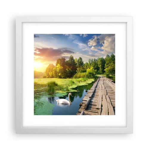 Poster în ramă albă - Vară, vară peste tot - 30x30 cm