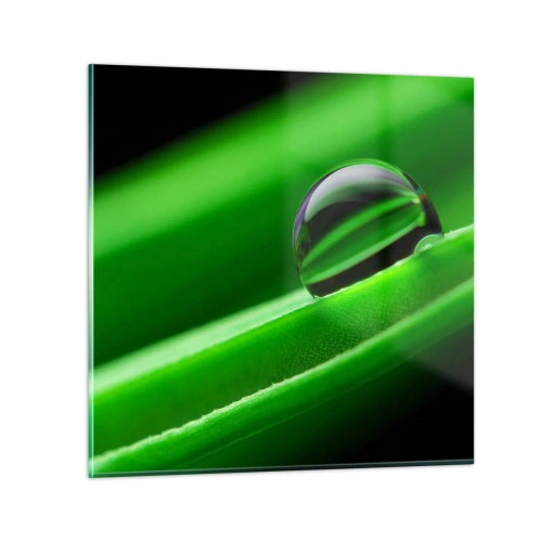 Tablou pe sticlă - Viața de aproape - 30x30 cm