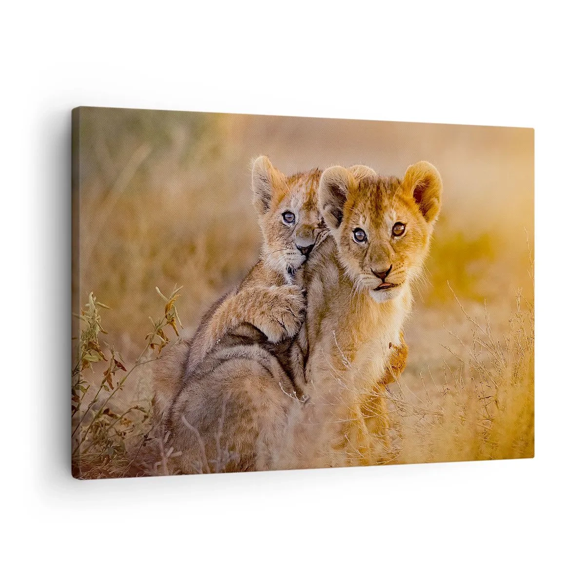 Tablou pe pânză Canvas - Pui de leu adorabili în mediul lor natural - 70x50cm - Nu deranjați! Ne distrăm - Decorațiune modernă pentru perete pentru living și dormitor ARTTOR