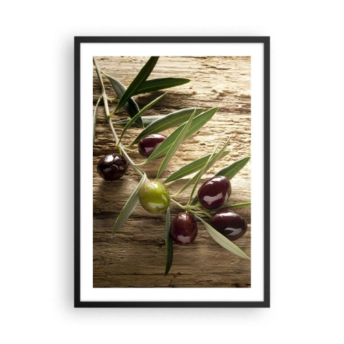 Poster în ramă neagră - Ramură de măslin cu măsline verzi și negre - 50x70cm - Direct din natură - Decorațiune modernă pentru perete pentru living și dormitor ARTTOR