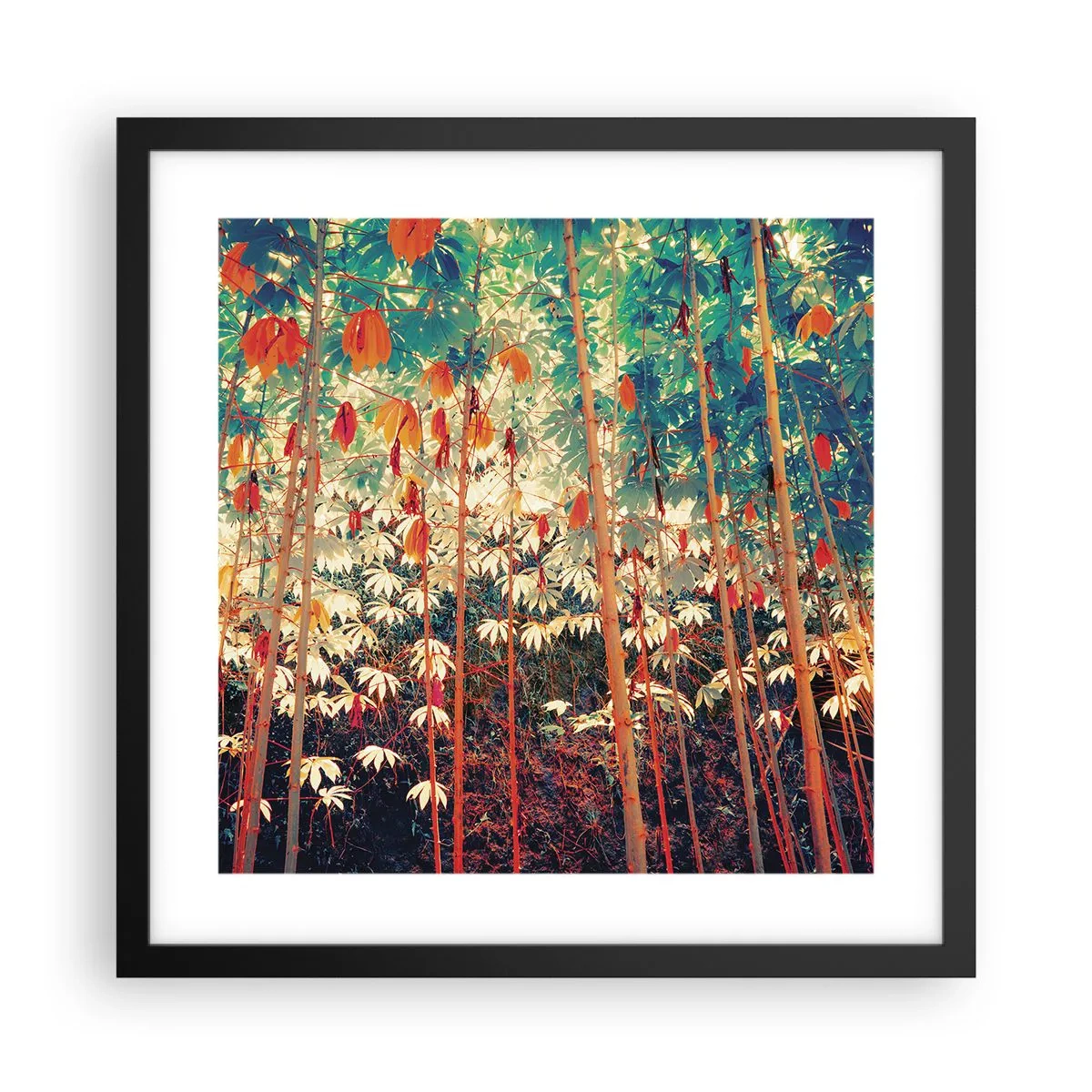 Poster în ramă neagră - Viața secretă a frunzelor - 40x40 cm