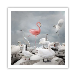 Poster - De unde am venit? - 60x60 cm