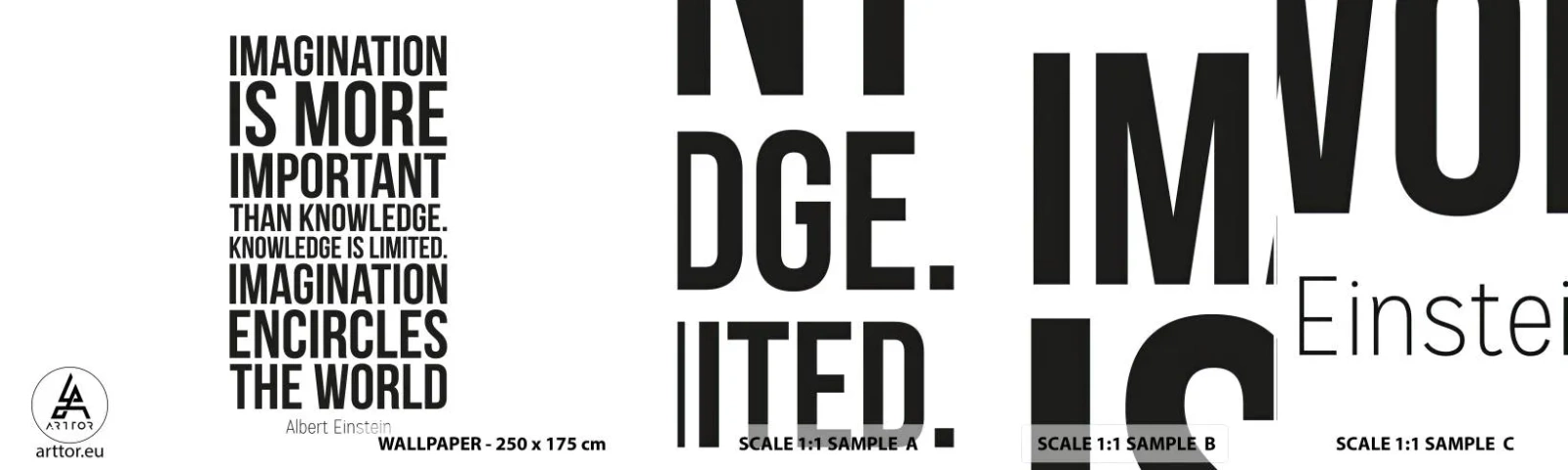 Mostră de Tapet Standard Eco - Einstein despre puterea imaginației - Tipografie, Afirmare, Maxim - 100x30 cm