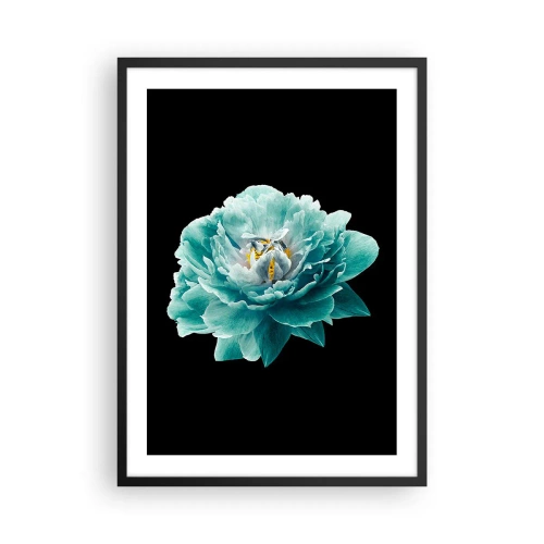Poster în ramă neagră - Floare turcoaz cu o albină pe fundal negru - 50x70cm - Petale albastre și aurii - Decorațiune modernă pentru perete pentru living și dormitor ARTTOR