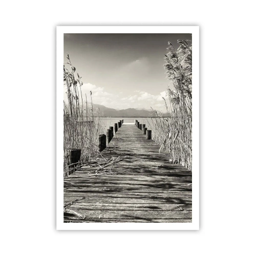 Poster - În intimitatea ierburilor - 70x100 cm