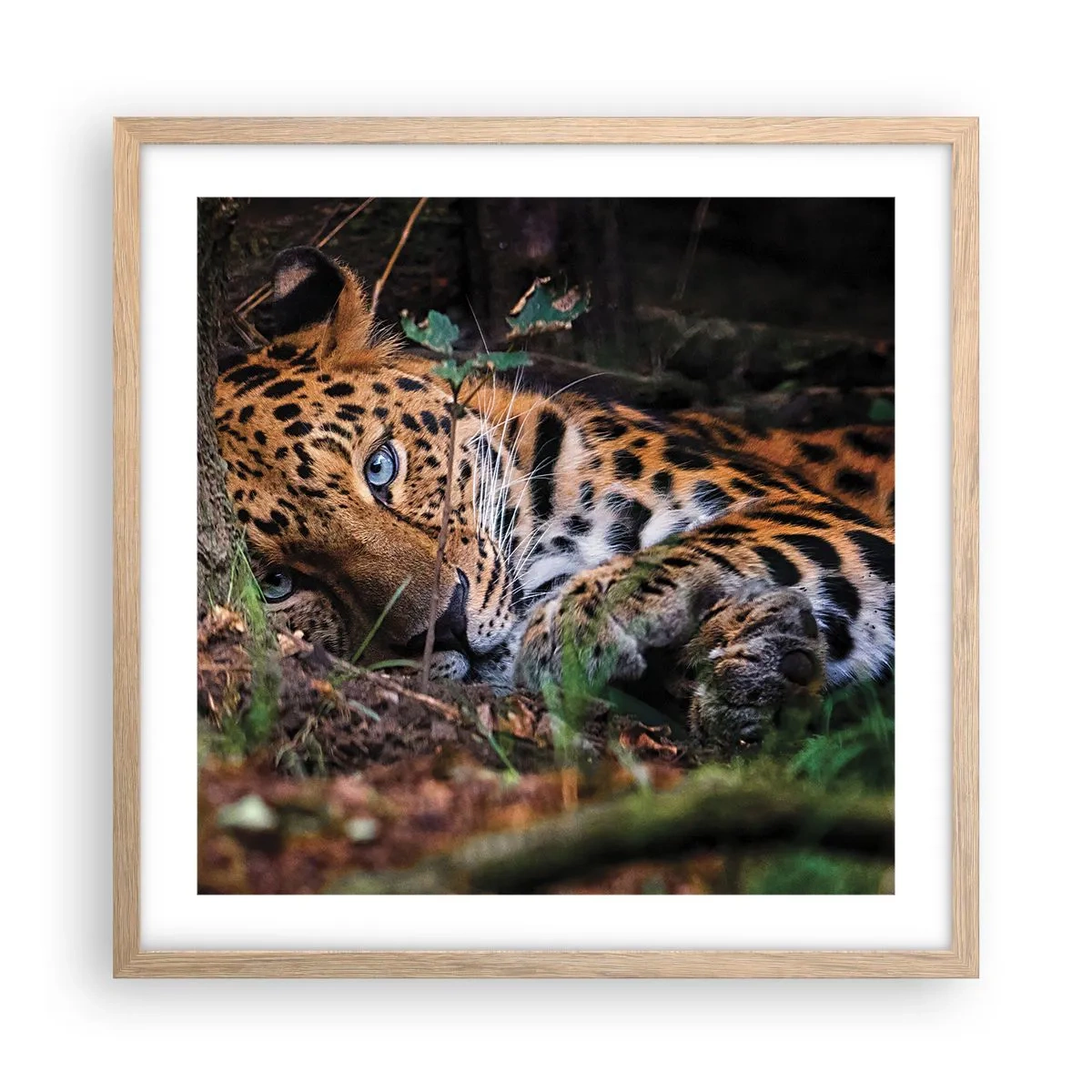 Poster în ramă de stejar deschis - Să ai încredere în mine - 50x50 cm