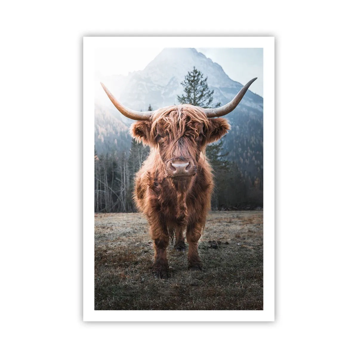 Poster - Salutări de pe o pajiște de munte - 61x91 cm