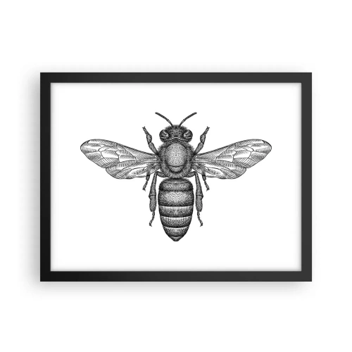 Poster în ramă neagră - Portret de insectă - 40x30 cm