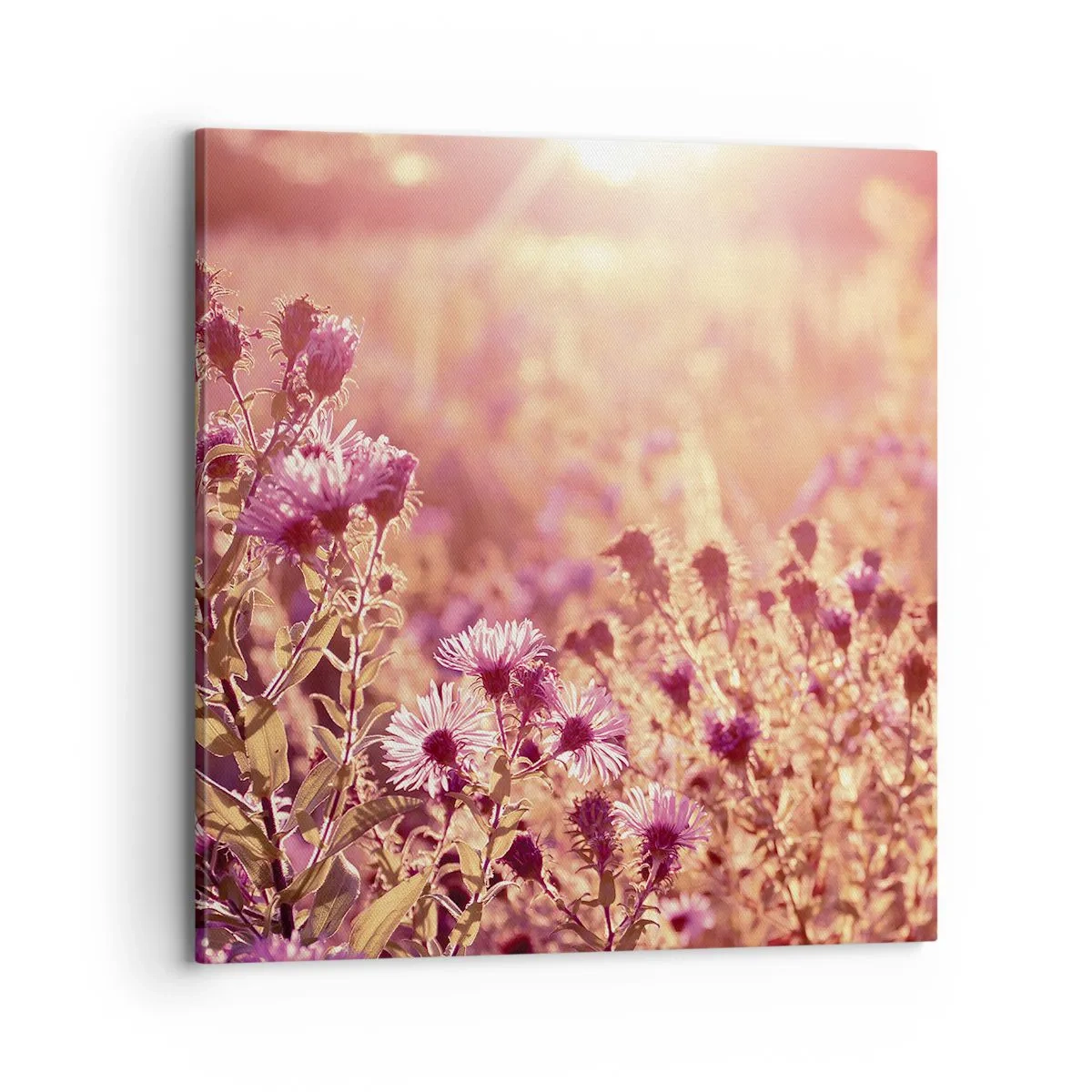 Tablou pe pânză - Înainte ca vara să plece - 70x70 cm