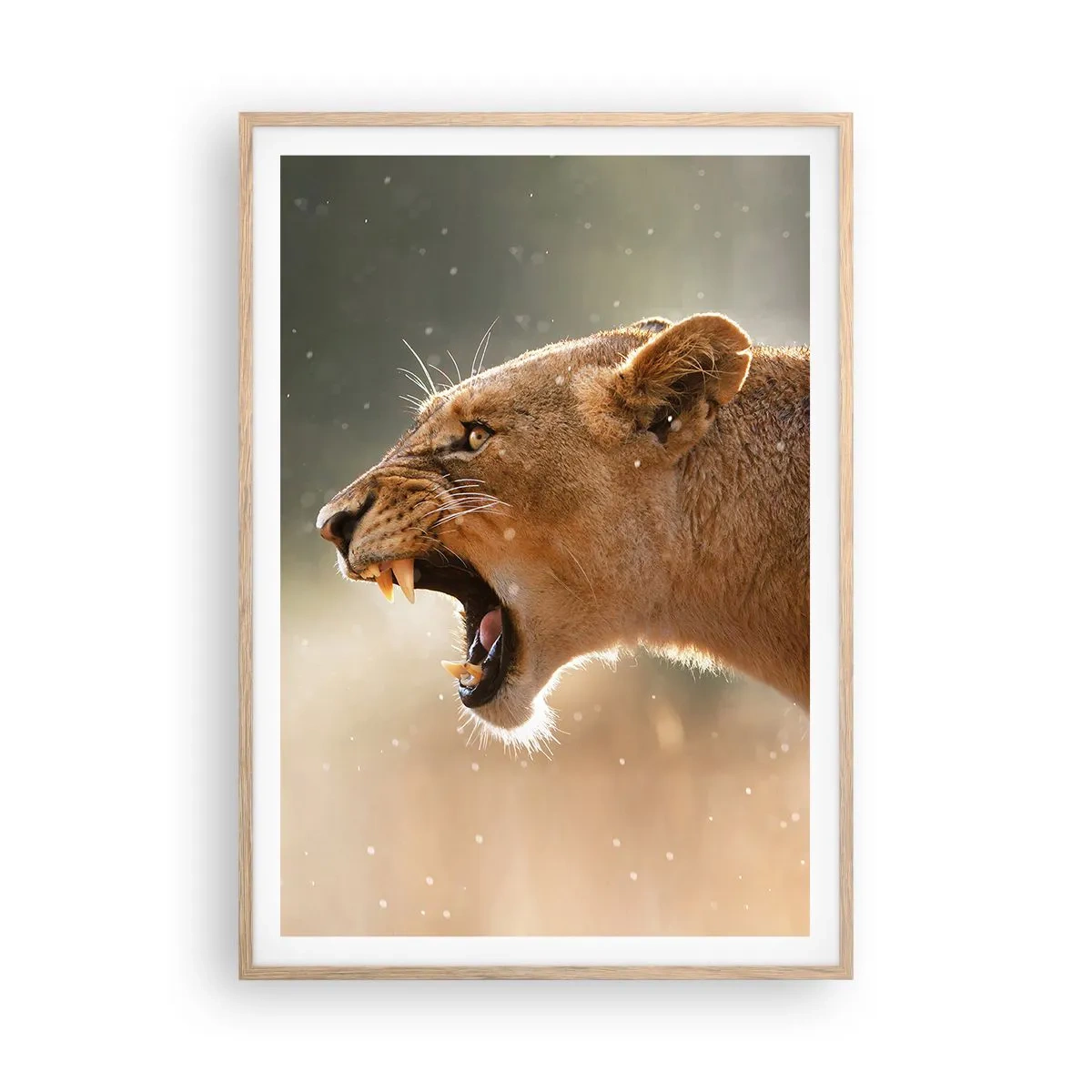 Poster în ramă de stejar deschis - Încearcă să nu asculți - 70x100 cm