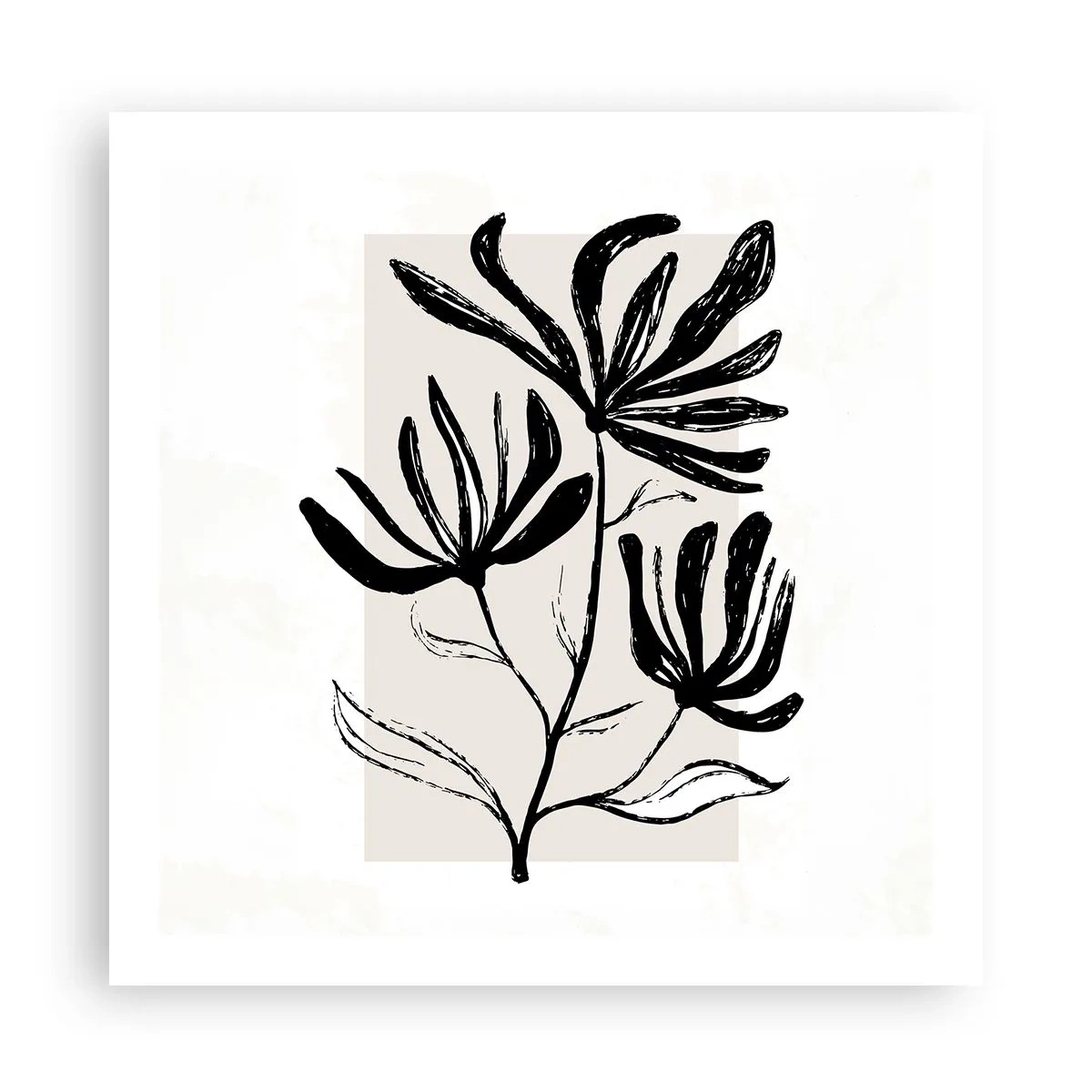 Poster - Schiță pentru ierbar - 60x60 cm