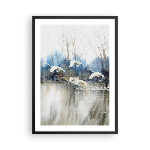 Poster în ramă neagră - Un stol de lebede plutind peste apă într-un stil pictural - 50x70cm - Dansând cu lebedele sălbatice - Decorațiune modernă pentru perete pentru living și dormitor ARTTOR
