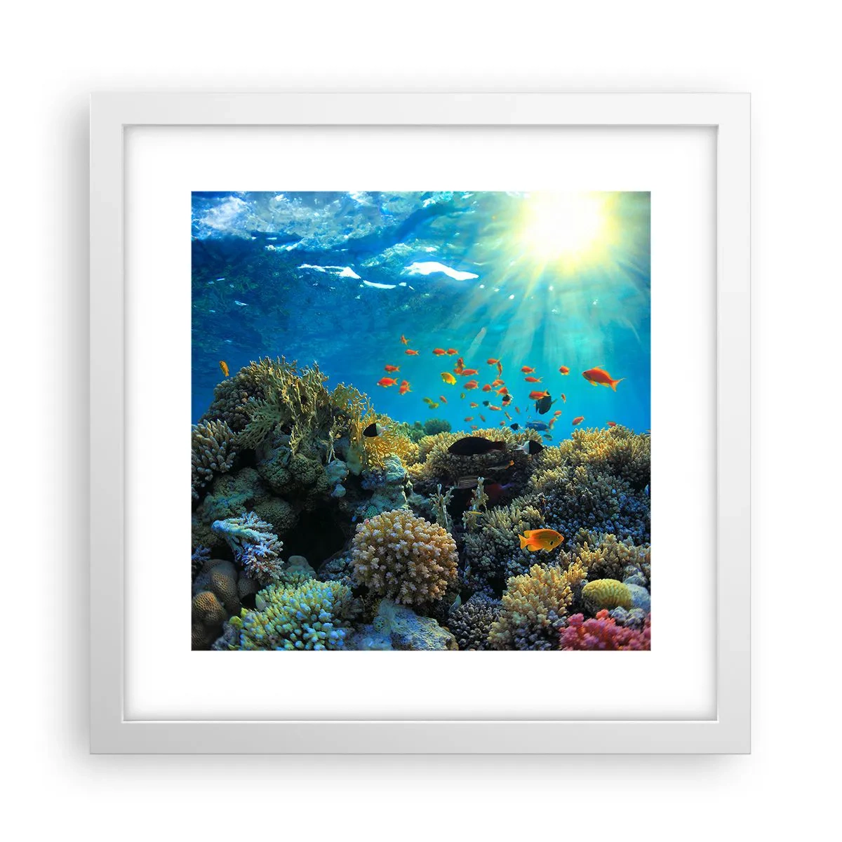 Poster în ramă albă - Comori subacvatice - 30x30 cm