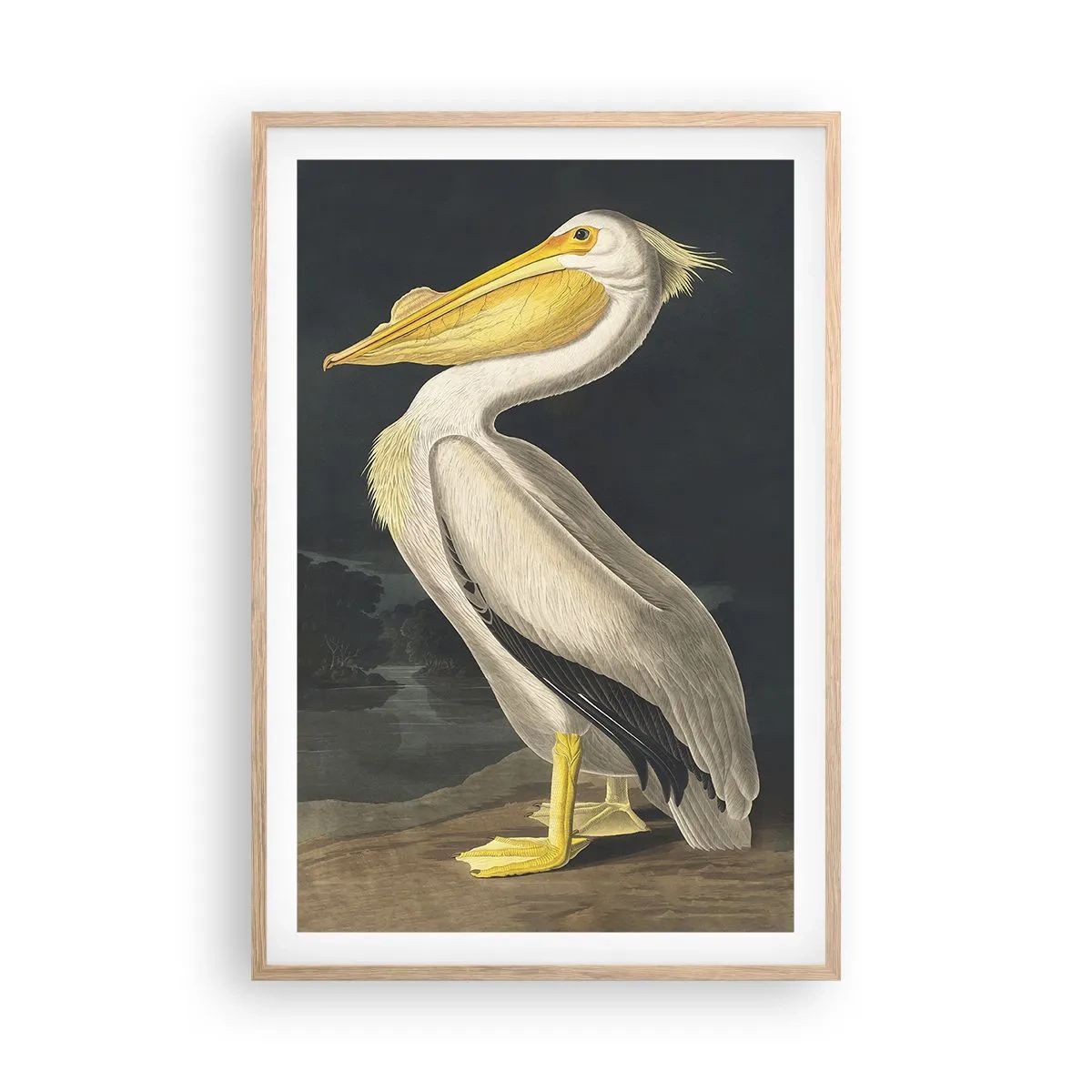 Poster în ramă de stejar deschis - Plin de mândrie - 61x91 cm