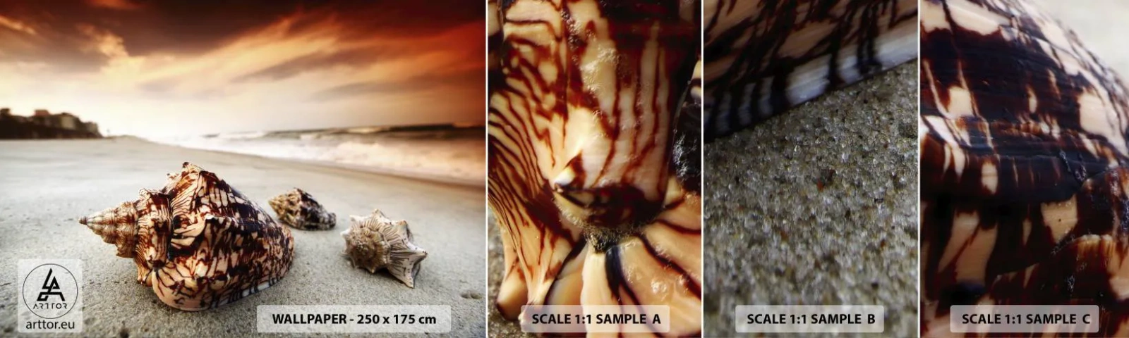 Mostră de Tapet Standard Eco - Exilate de valuri - Peisaj, Mare, scoica de mare - 100x30 cm