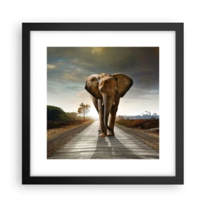 Poster în ramă neagră - Și-a pierdut cipicii... - 30x30 cm