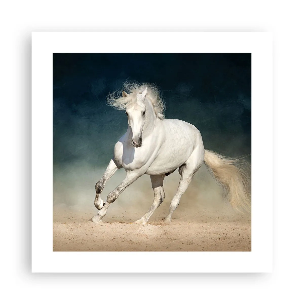 Poster - Libertate în stare pură - 40x40 cm