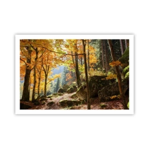 Poster - Timp de relaxare - 91x61 cm