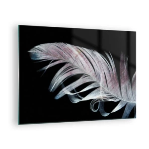 Tablou pe sticlă - O pană delicată pe un fundal negru într-o abordare artistică - 70x50cm - Gândește-te la atingere - Decorațiune modernă pentru perete pentru living și dormitor ARTTOR