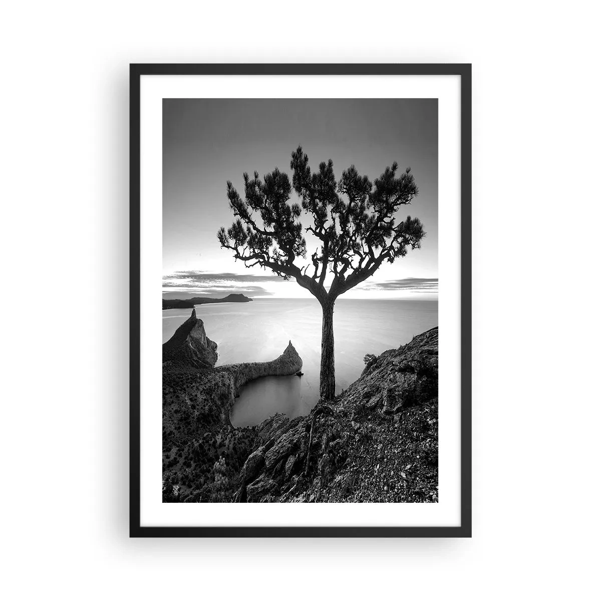 Poster în ramă neagră - Peisaj alb-negru cu un copac singuratic peste o stâncă - 50x70cm - Liniște până la orizont - Decorațiune modernă pentru perete pentru living și dormitor ARTTOR