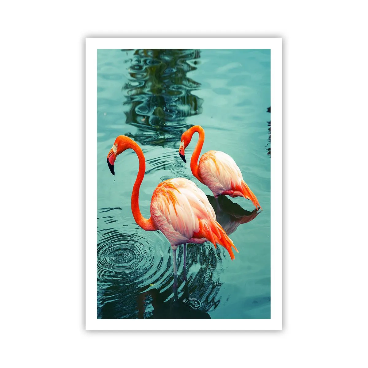 Poster - Suntem bune de revistele de modă - 61x91 cm
