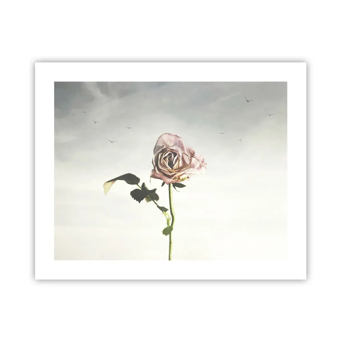 Poster - Primăvara binevenită - 50x40 cm