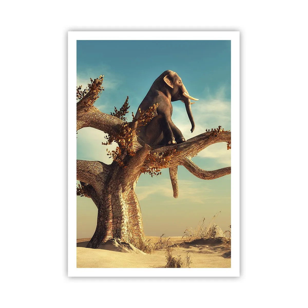 Poster - Un nou punct de vedere - 70x100 cm