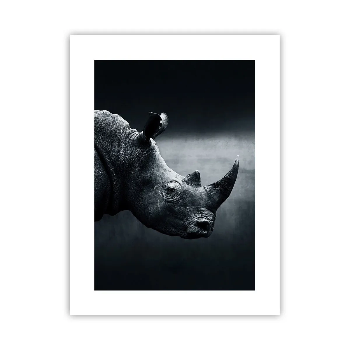 Poster - Profil drept - 30x40 cm