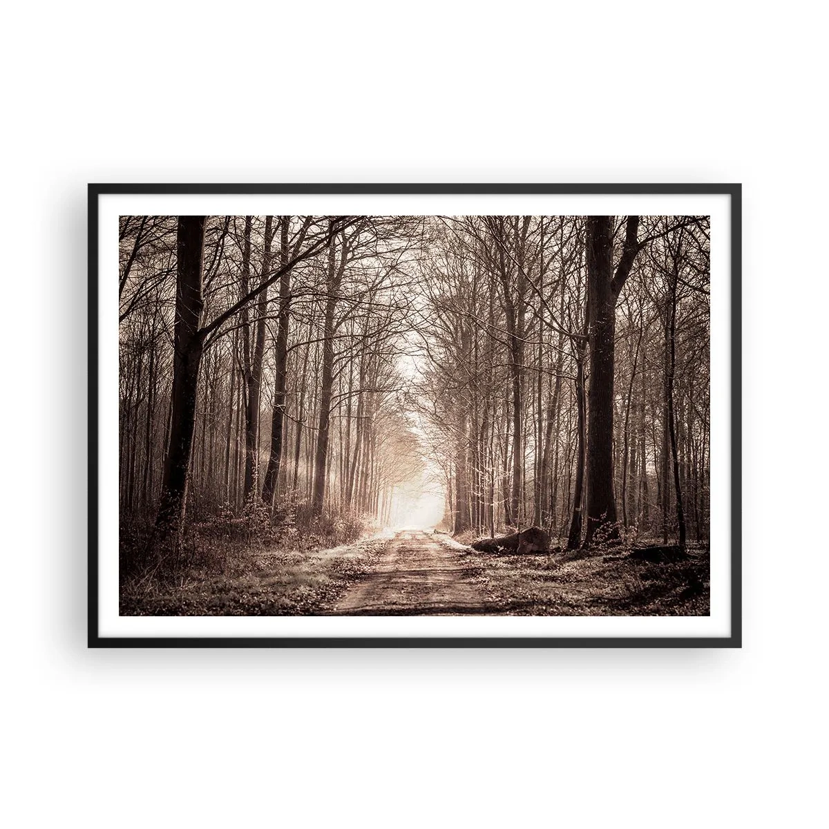 Poster în ramă neagră - Catedrala Forestieră - 100x70 cm