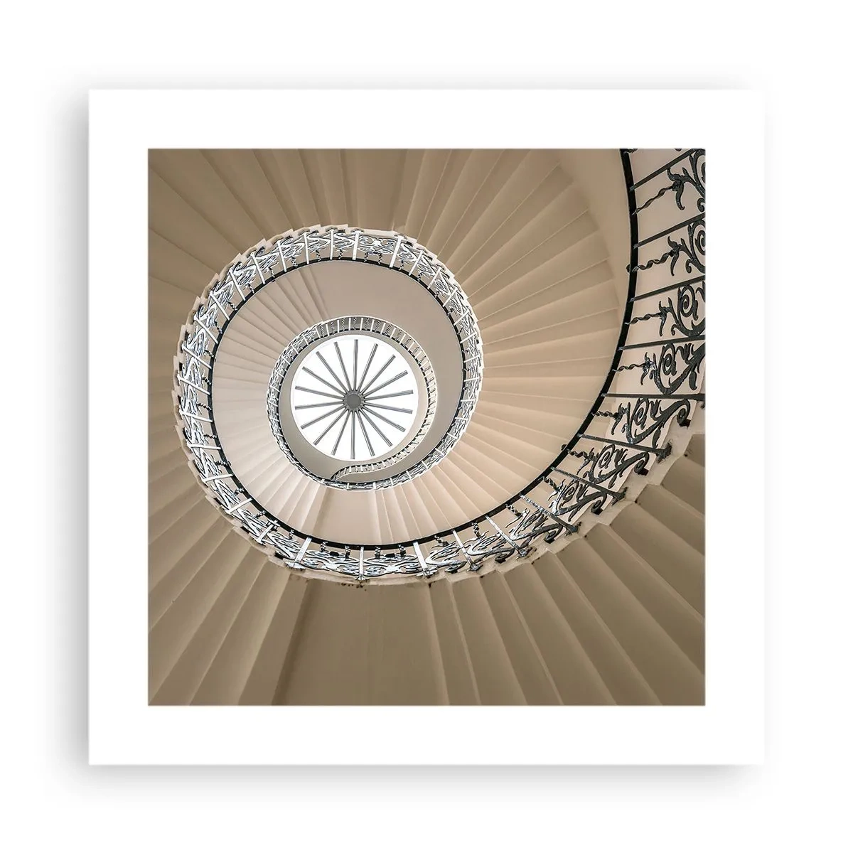 Poster - În interiorul cochiliei - 40x40 cm