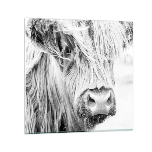 Tablou pe sticlă - Sălbăticie scoțiană - 30x30 cm