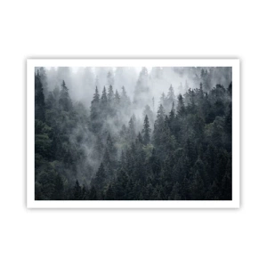 Poster - Zori de pădure - 100x70 cm